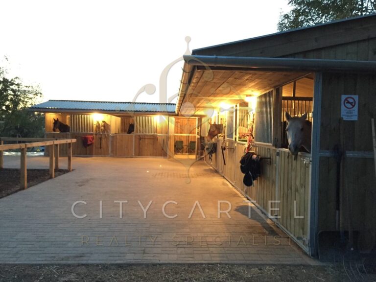 vizjeles 5099258 768x576