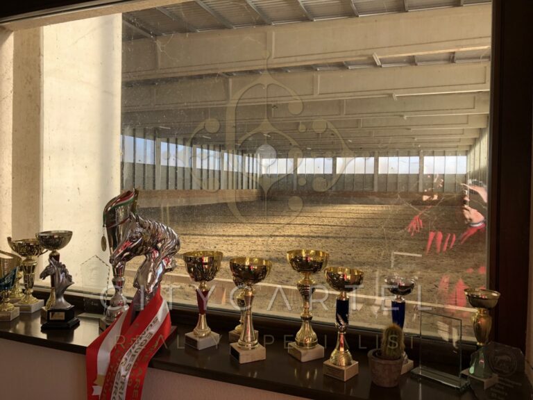 vizjeles 5099259 768x576