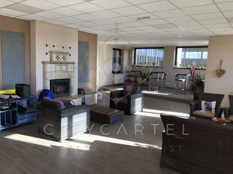 vizjeles 5099261 768x576