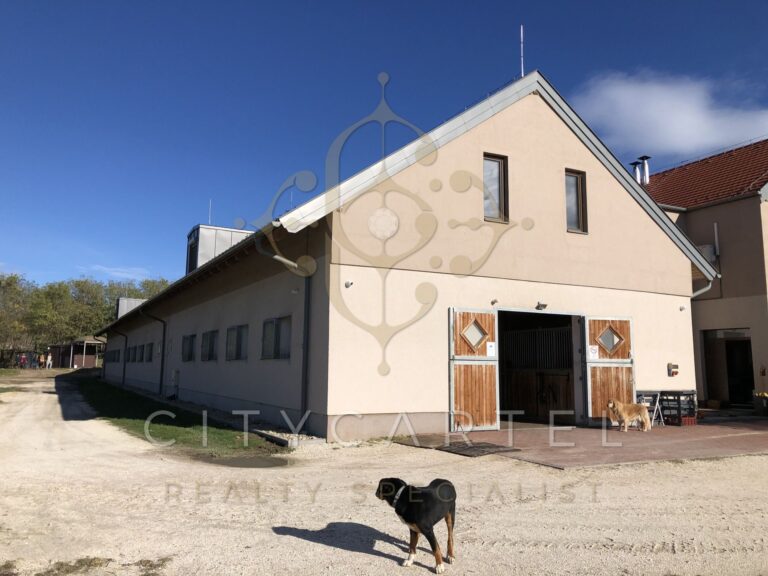 vizjeles 5099263 768x576