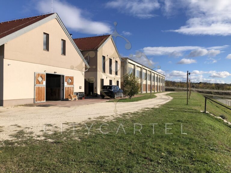 vizjeles 5099268 1 768x576