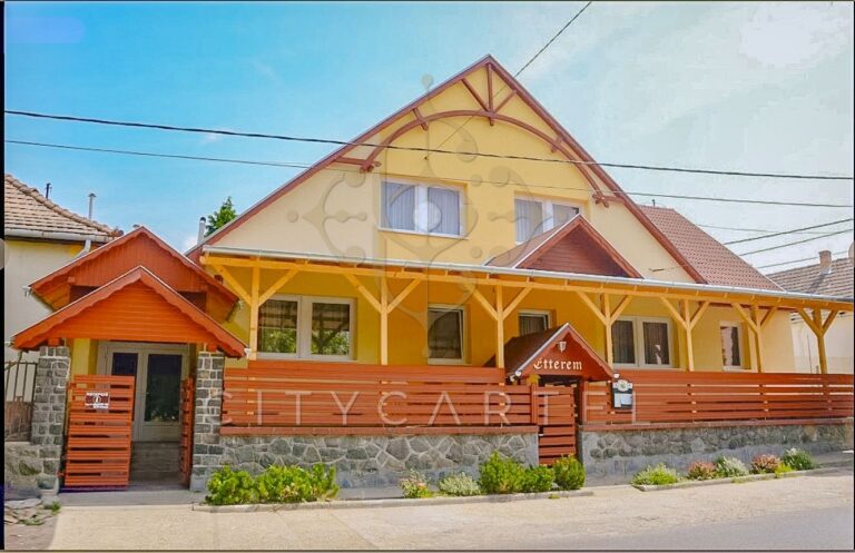 vizjeles 5562263 768x497