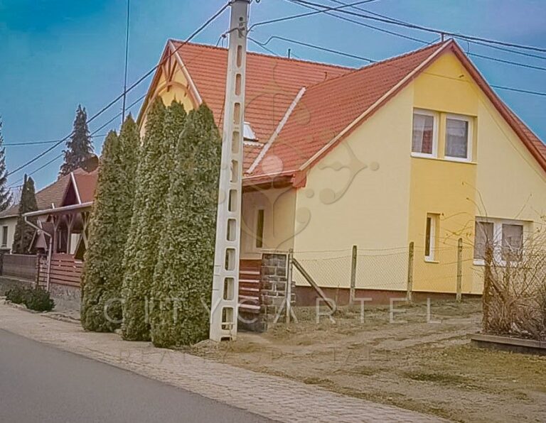 vizjeles 5562264 768x596