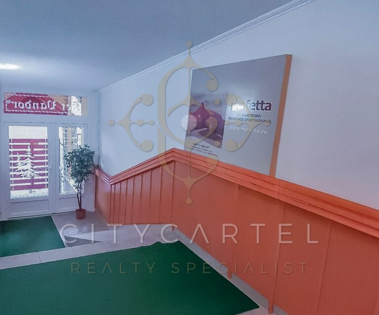 vizjeles 5562417 768x638