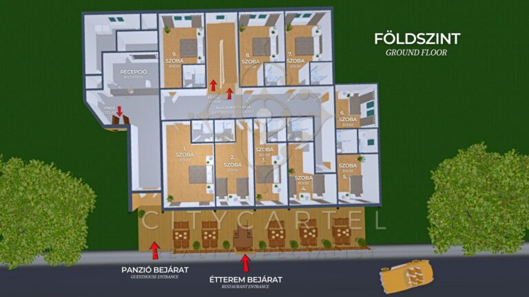 vizjeles 5586482 768x432