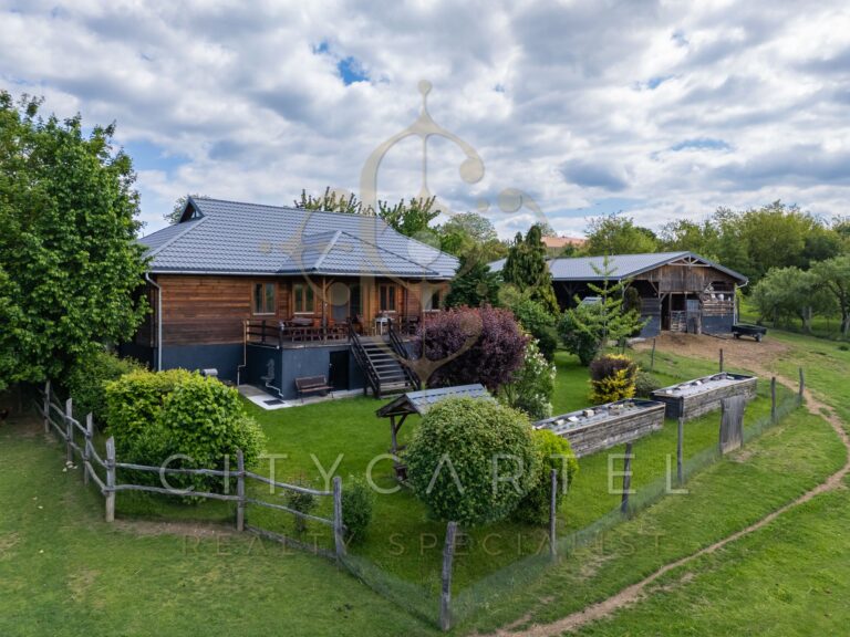 vizjeles 5741319 768x576