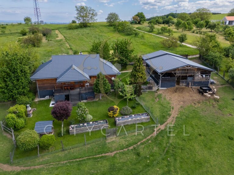 vizjeles 5741321 768x576