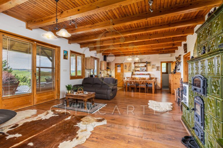 vizjeles 5741322 768x512