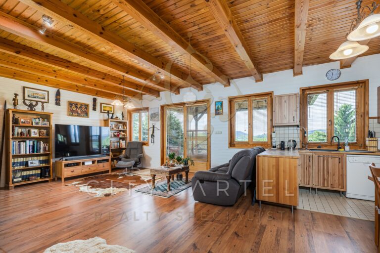 vizjeles 5741323 768x512