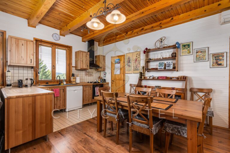 vizjeles 5741324 768x512