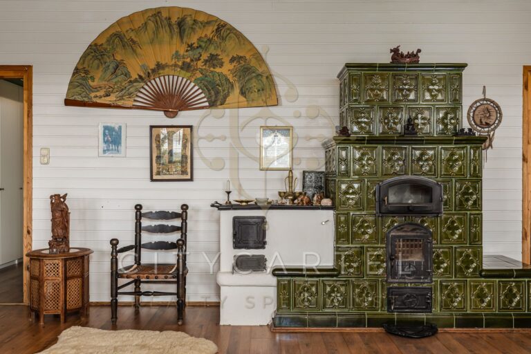 vizjeles 5741325 768x512