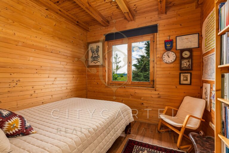 vizjeles 5742531 768x513