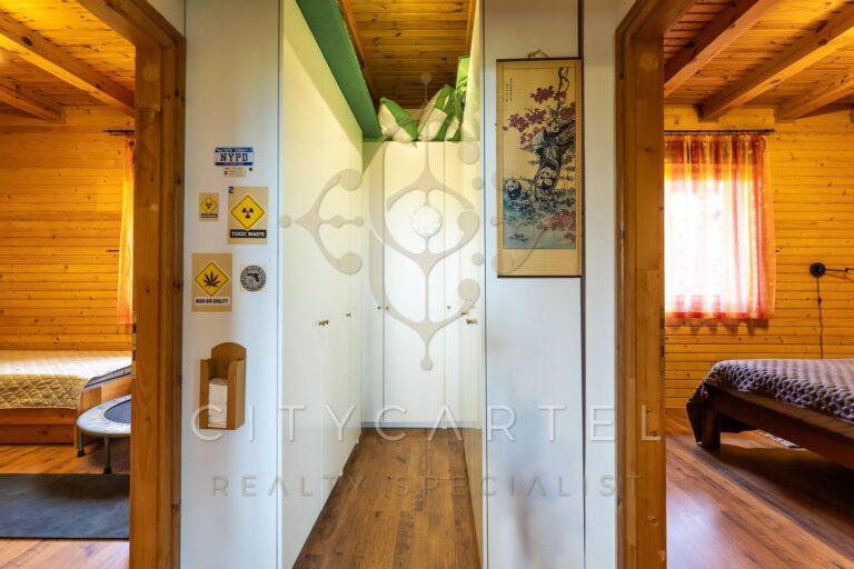 vizjeles 5742533 768x512