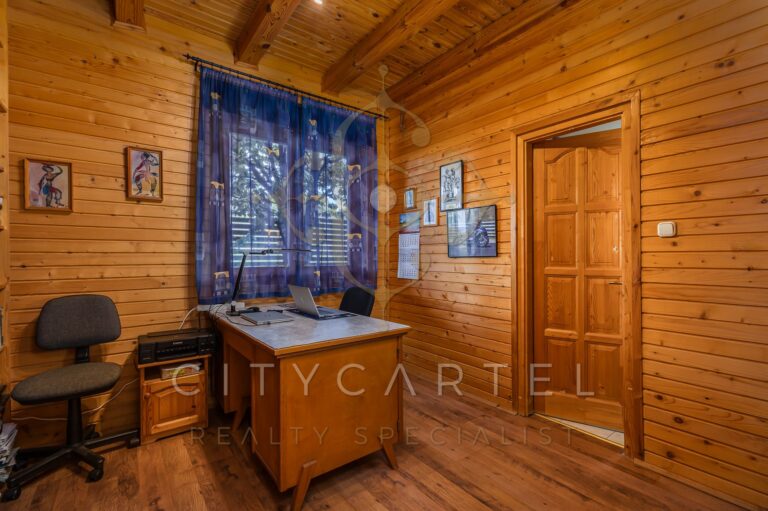 vizjeles 5742534 768x511