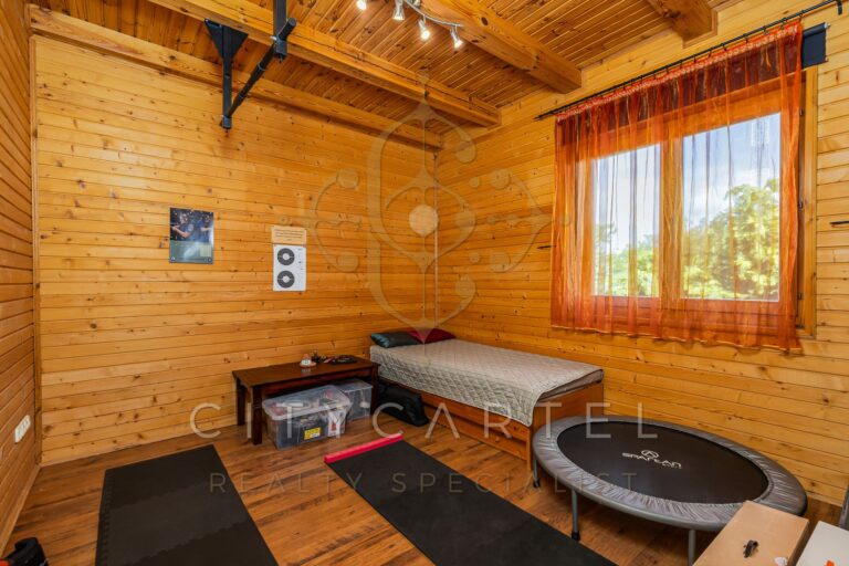 vizjeles 5742535 768x512