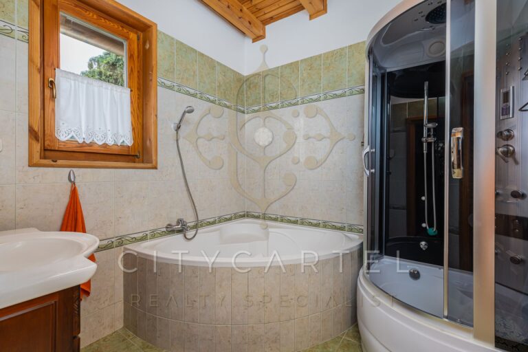 vizjeles 5742536 768x512