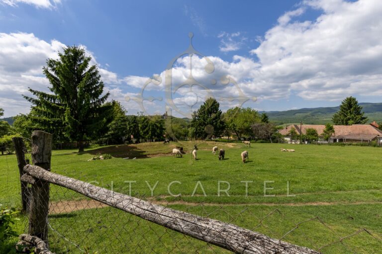 vizjeles 5742540 768x512