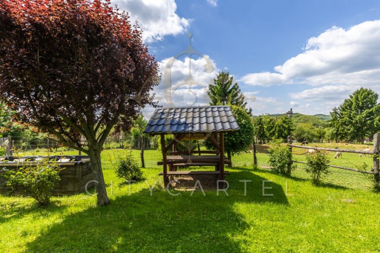 vizjeles 5742541 768x512