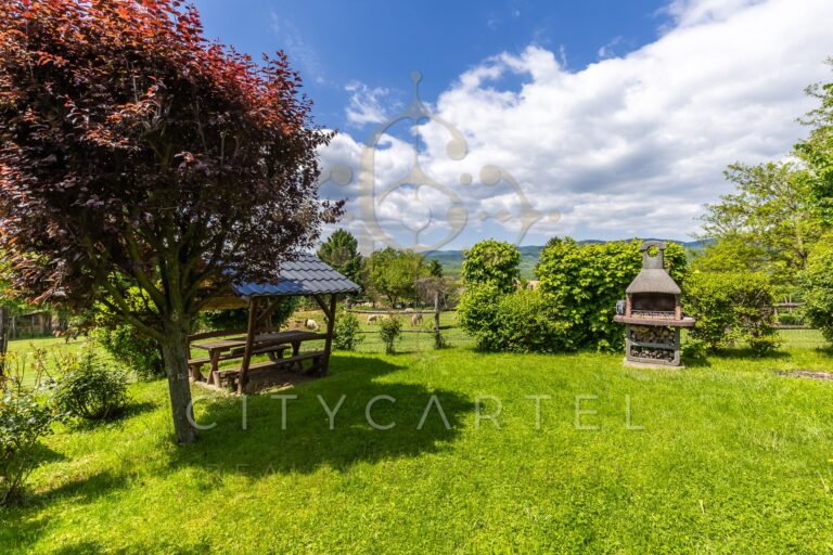 vizjeles 5742542 768x512