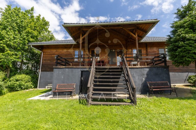 vizjeles 5742544 768x512