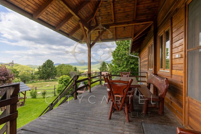 vizjeles 5742546 768x512