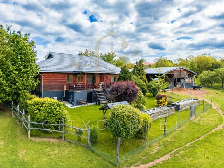 vizjeles 5769348 768x576