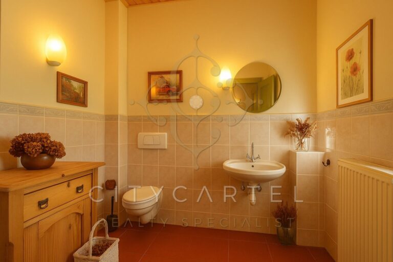 vizjeles 5864638 768x512