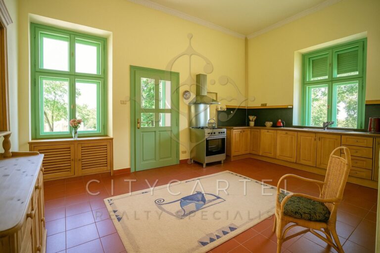 vizjeles 5864644 768x512