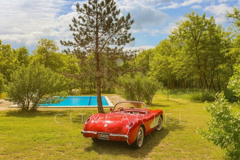 vizjeles 5864659 768x512