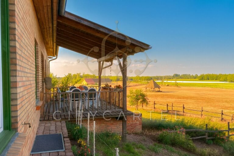 vizjeles 5864662 768x512