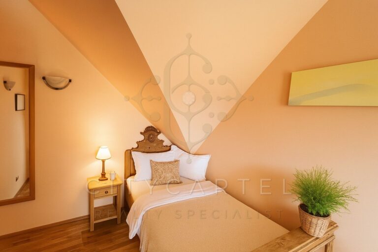 vizjeles 5864674 768x512