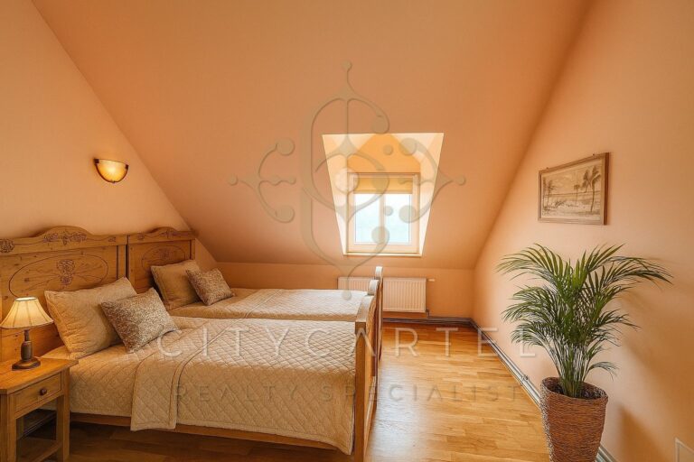 vizjeles 5864675 768x512