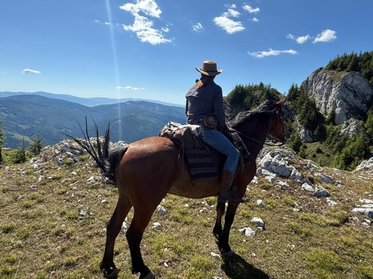 IMG 20250707 WA0051 768x576