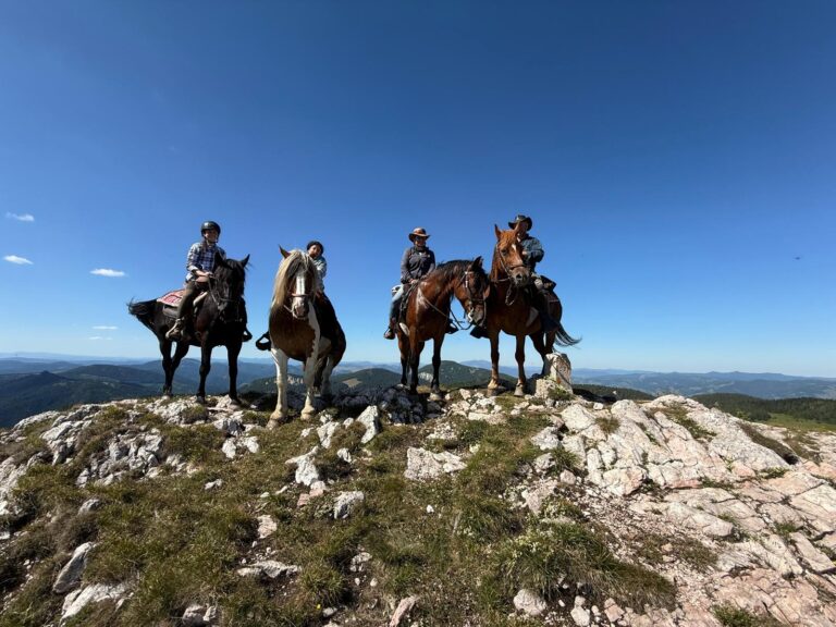 IMG 20250707 WA0054 768x576