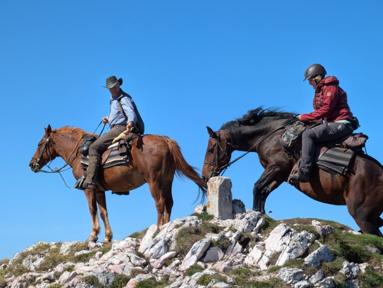 IMG 20250923 WA0082 768x578