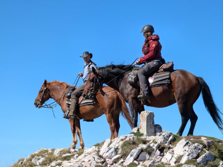 IMG 20250923 WA0095 1 768x578