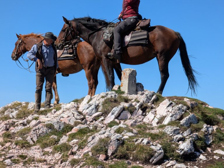 IMG 20250923 WA0099 768x578