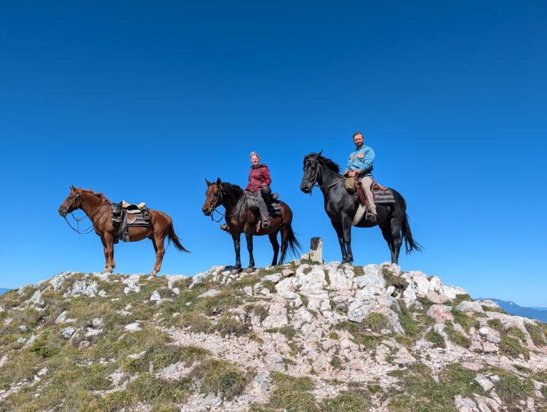 IMG 20250923 WA0100 768x578