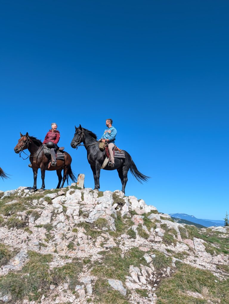 IMG 20250923 WA0109 768x1020