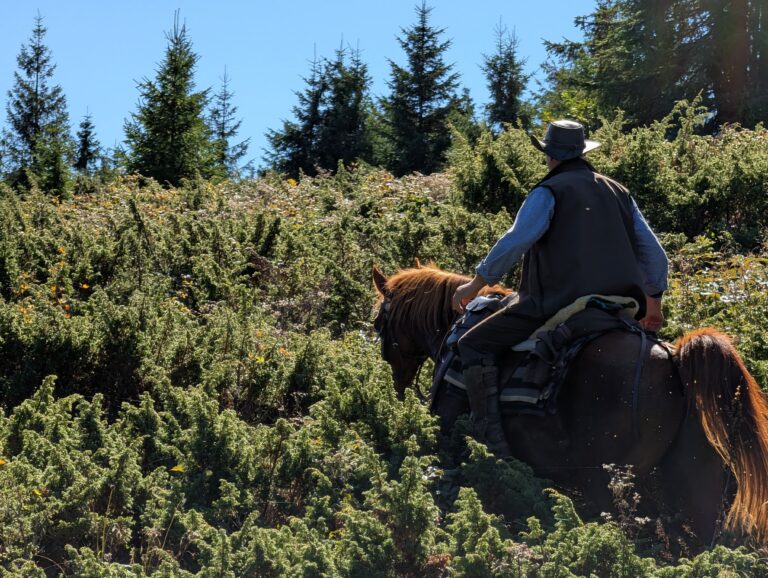 IMG 20250923 WA0124 768x578