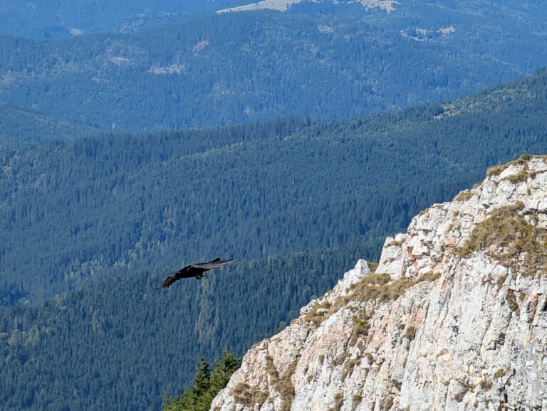 IMG 20250923 WA0252 768x578