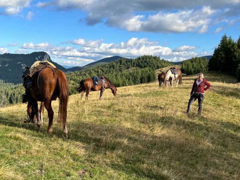 IMG 20250924 WA0016 768x576