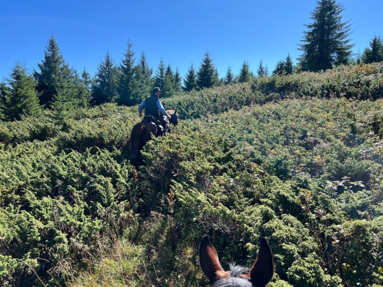 IMG 20250924 WA0021 1 768x576