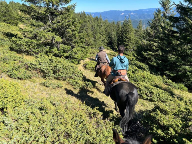 IMG 20250924 WA0024 768x576