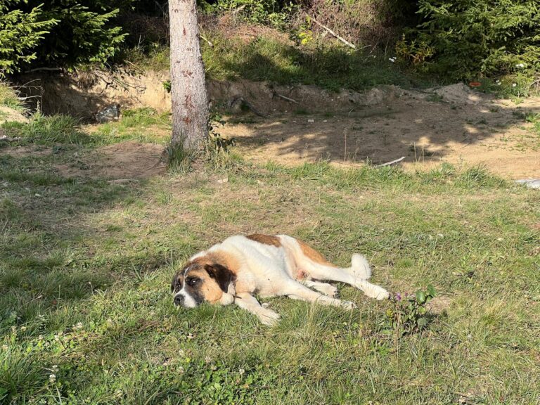 IMG 20250924 WA0035 768x576