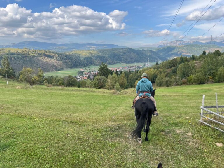 IMG 20250924 WA0041 768x576