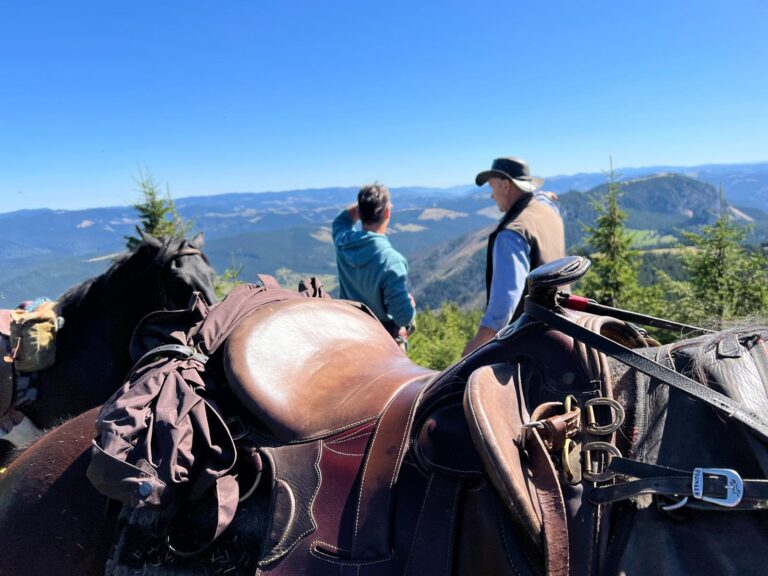 IMG 20250925 WA0044 1 768x576