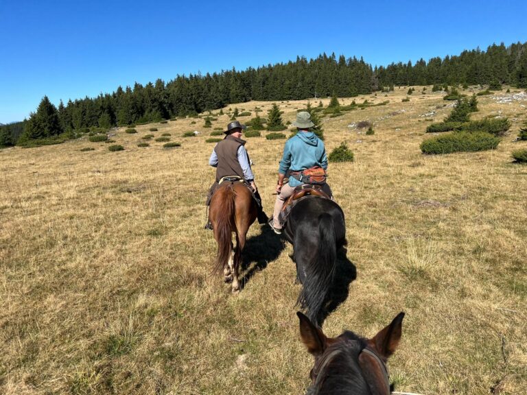 IMG 20250925 WA0049 768x576