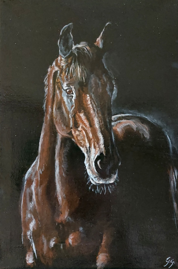 Kepernyofelvetel 116