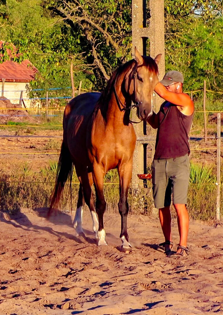 D20250920 3 2 768x1081